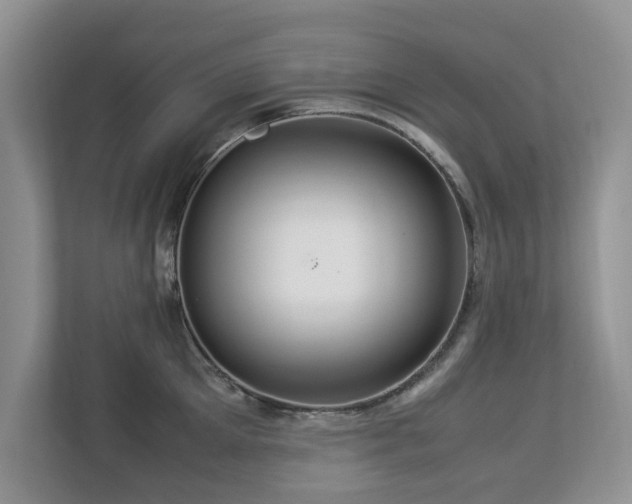 X0000112950905200908241340