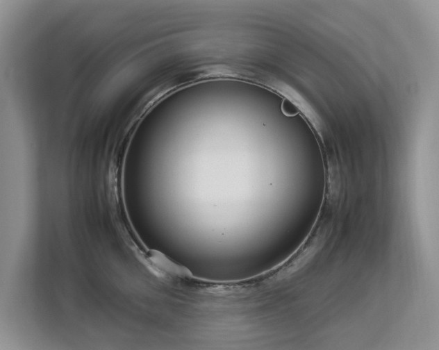 X0000112950906200908241340