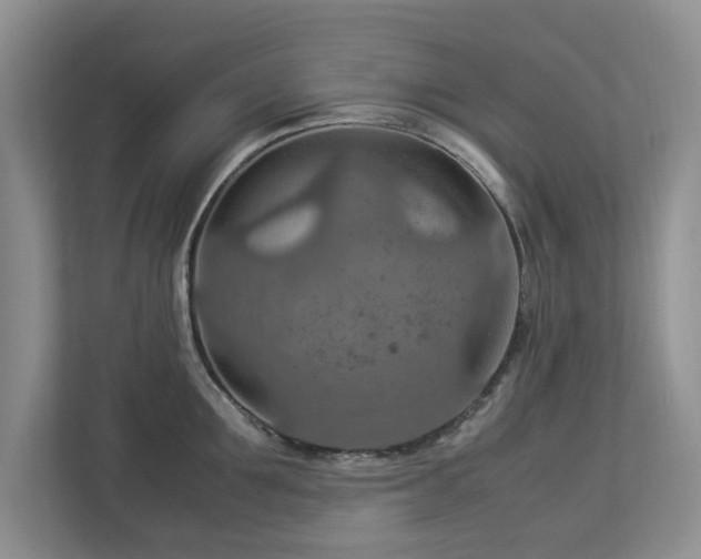 X0000112950907200908241340