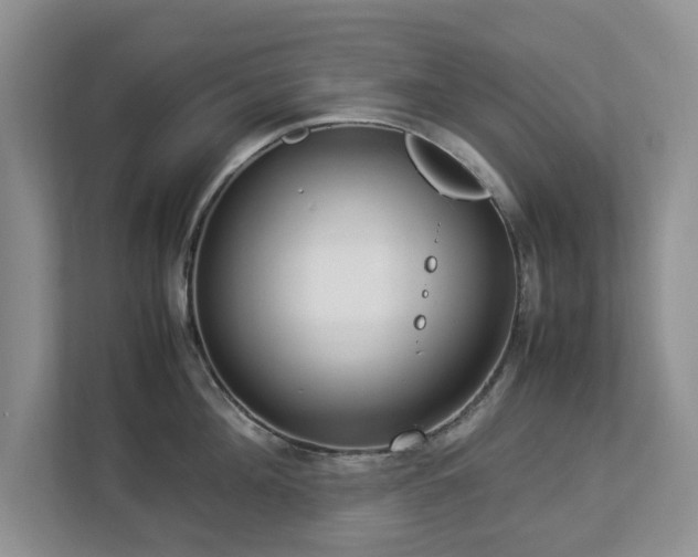 X0000112950908200908241340