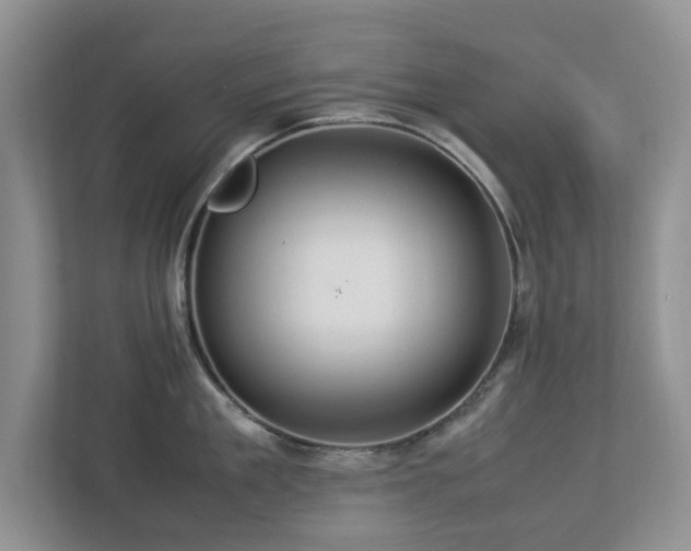 X0000112950909200908241340