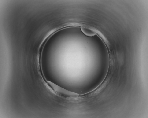 X0000112950910200908241340