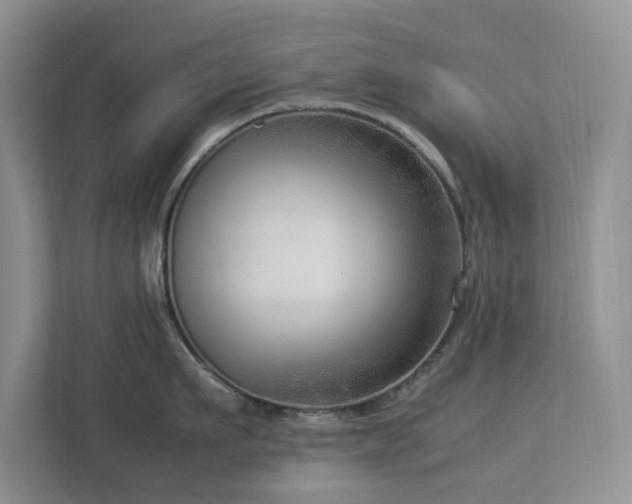 X0000112950911200908241340