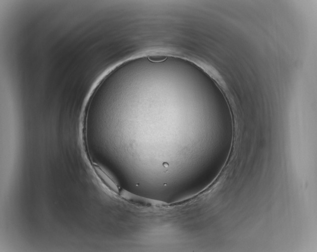 X0000112950912200908241340