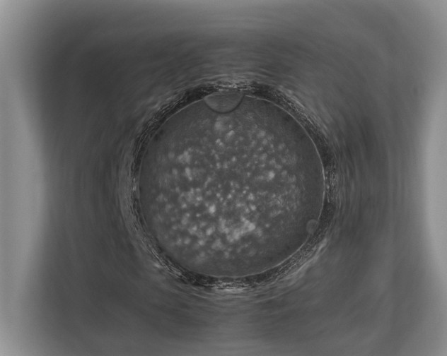 X0000112950913200908241339