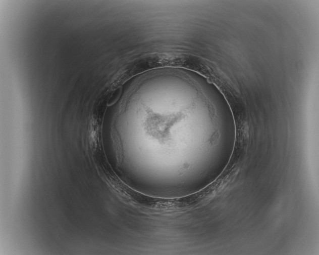 X0000112950914200908241339