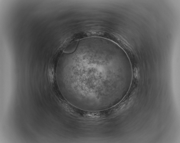 X0000112950915200908241339