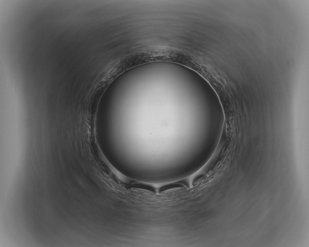 X0000112950916200908241339