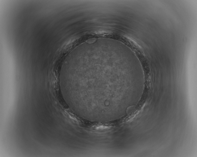 X0000112950917200908241339