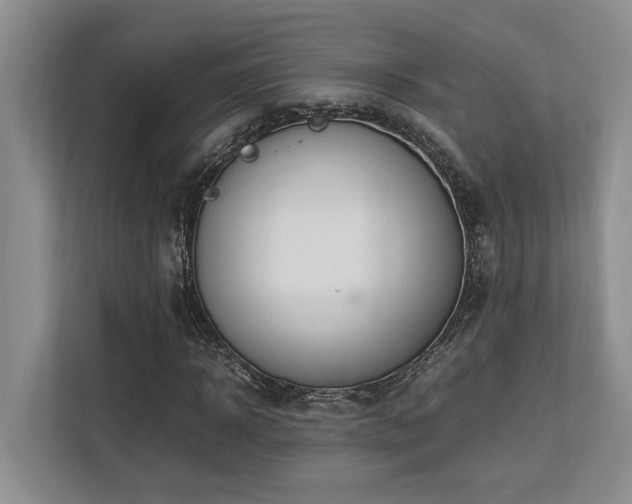 X0000112950918200908241339