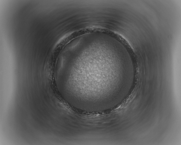 X0000112950919200908241339