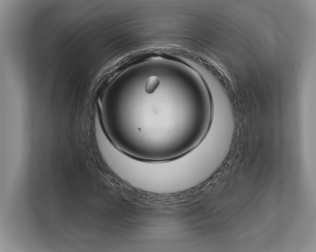 X0000112950920200908241339