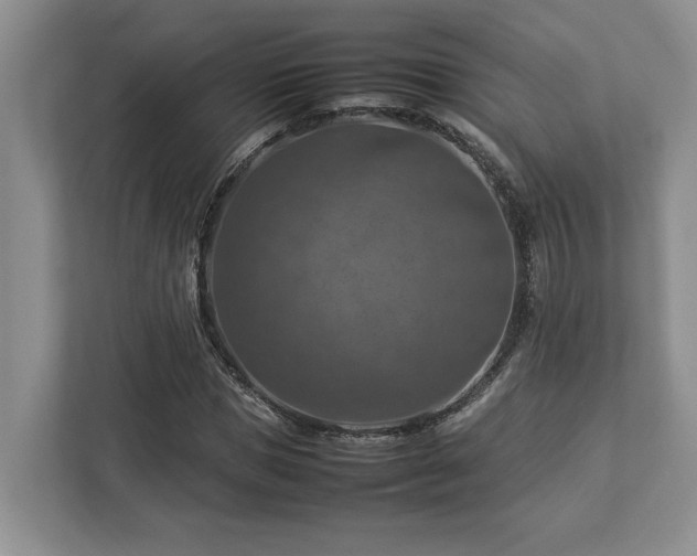 X0000112950921200908241339