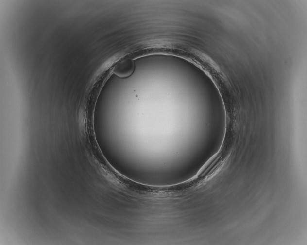 X0000112950922200908241339