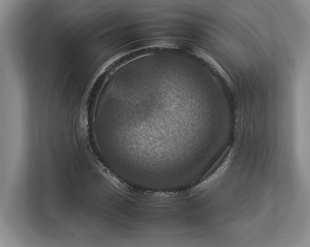 X0000112950923200908241339