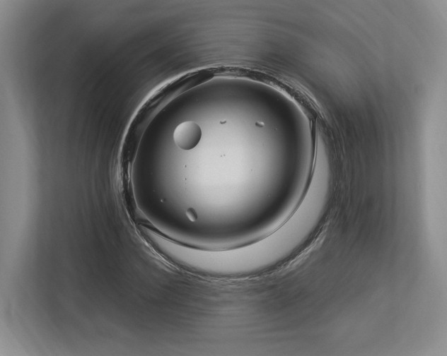 X0000112950924200908241340