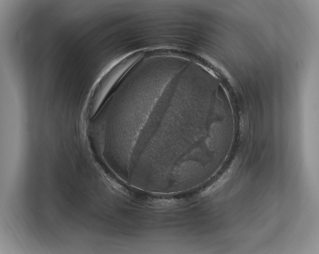 X0000112950925200908241340