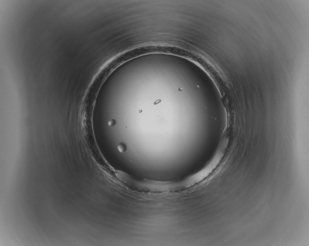 X0000112950926200908241340