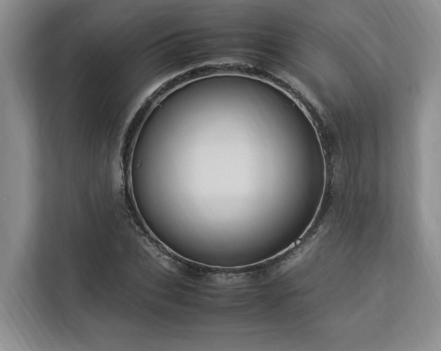 X0000112950927200908241340