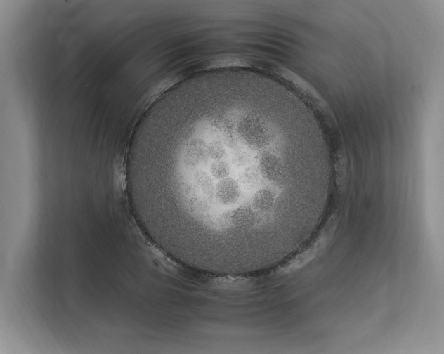 X0000112950929200908241340