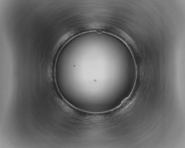 X0000112950930200908241340