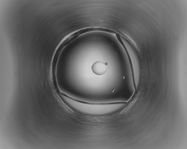 X0000112950932200908241340