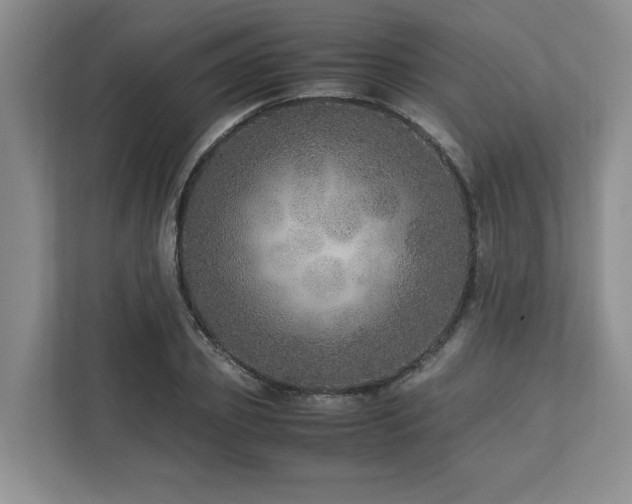 X0000112950933200908241340