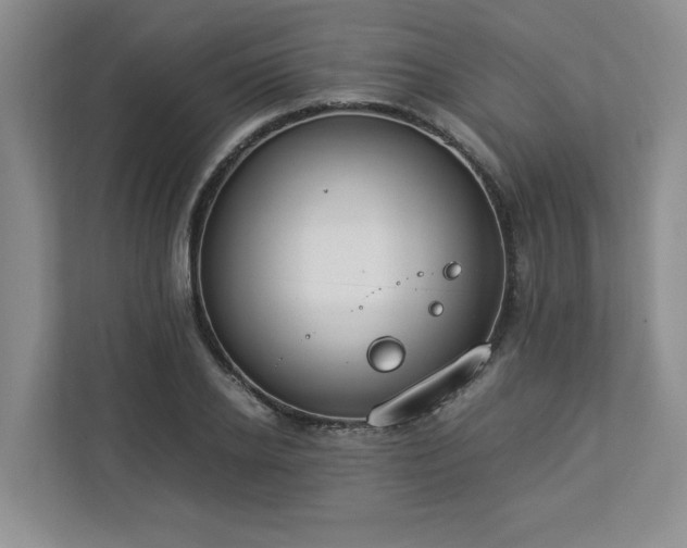 X0000112950934200908241340