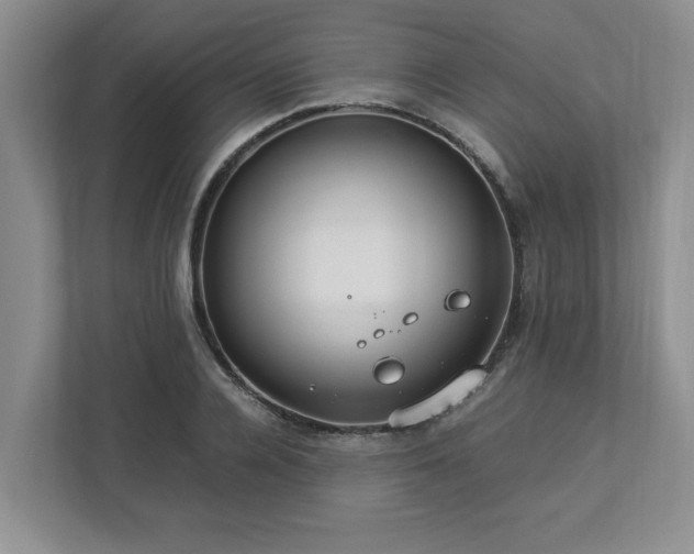 X0000112950936200908241340