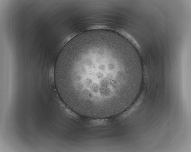 X0000112950937200908241340