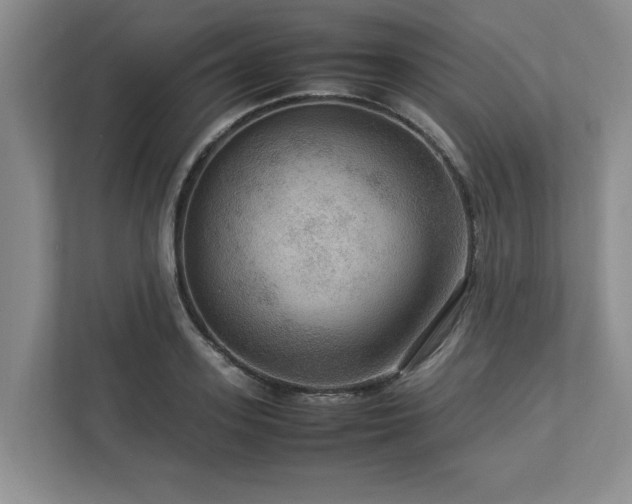 X0000112950939200908241340