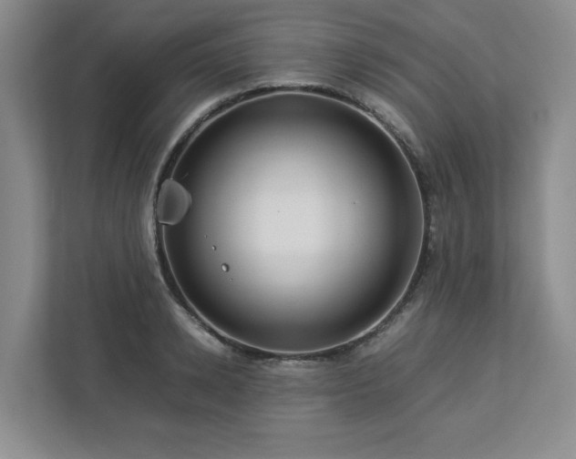 X0000112950942200908241340