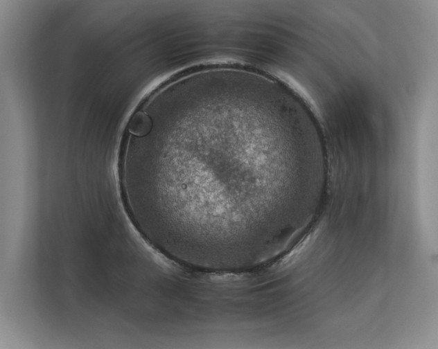 X0000112950943200908241340