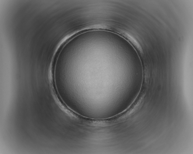 X0000112950944200908241340