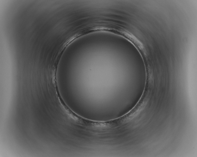 X0000112950945200908241340