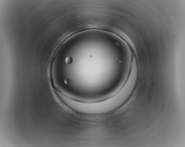 X0000112950946200908241340