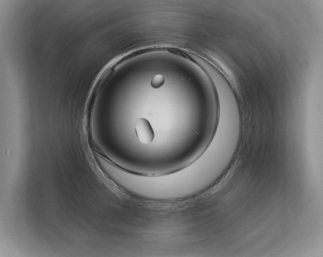 X0000112950948200908241340