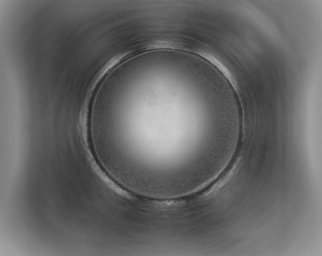 X0000112950949200908241340