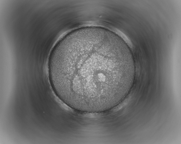 X0000112950950200908241340