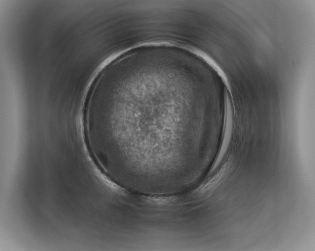 X0000112950951200908241340