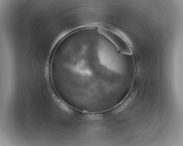 X0000112950952200908241340