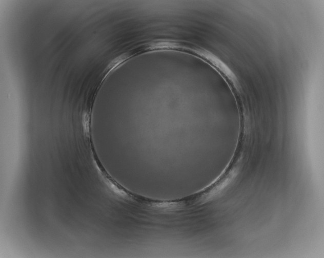 X0000112950953200908241340