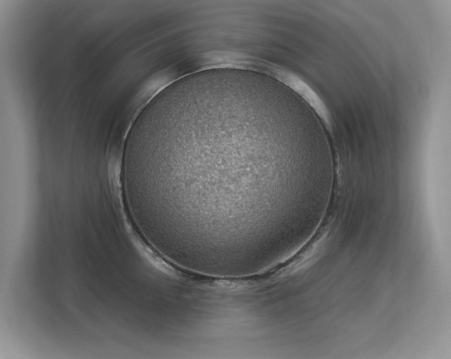 X0000112950954200908241340