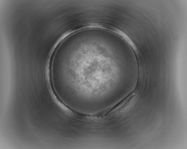 X0000112950955200908241340