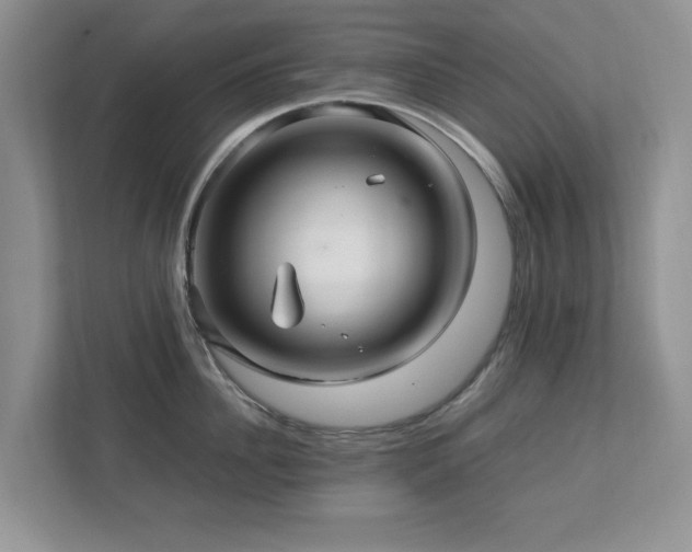 X0000112950956200908241340