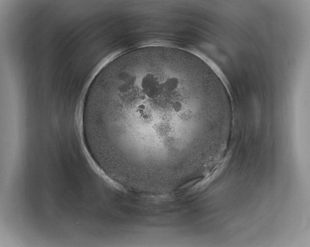 X0000112950957200908241340