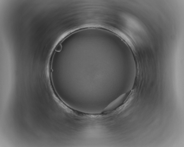 X0000112950958200908241340