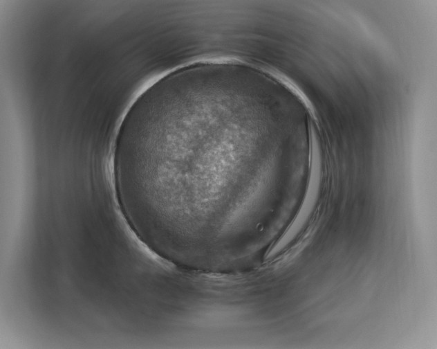 X0000112950959200908241340