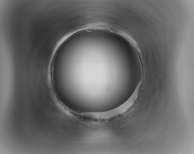 X0000112950960200908241340