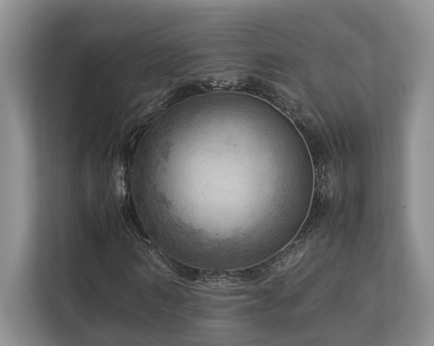 X0000112950962200908241339